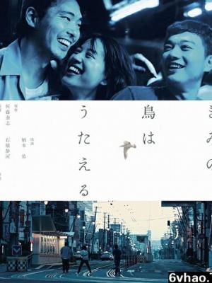 影子游戏